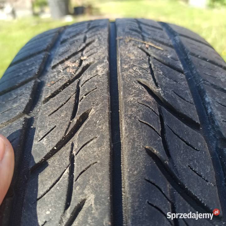 Kormorana runpro B3 1856515 65 Grójec sprzedam