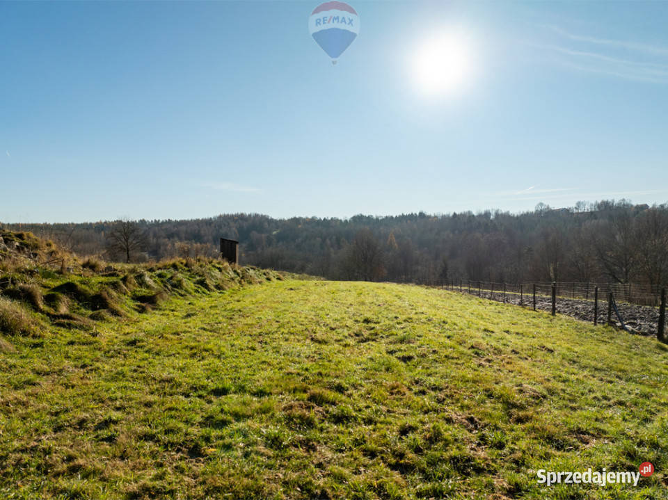 Działka w otoczeniu przyrody Izdebnik budowlana