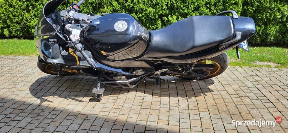 Yamaha Thundercat technicznie Łańcut