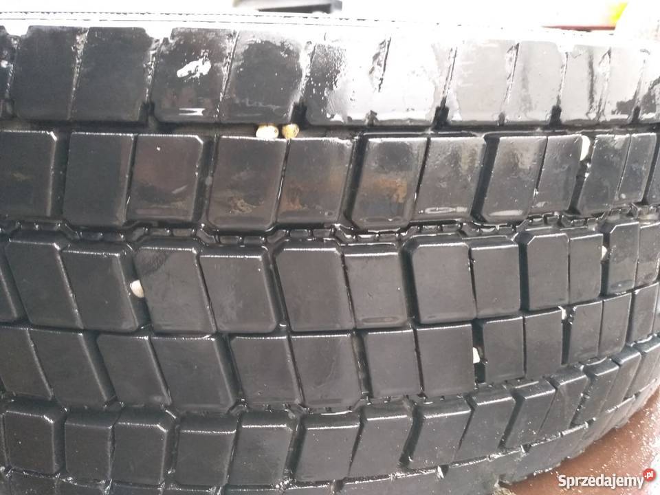OPONA 24570 R195 SEMPERIT BIEŻNIK 9MM TYŁ Rzędowice