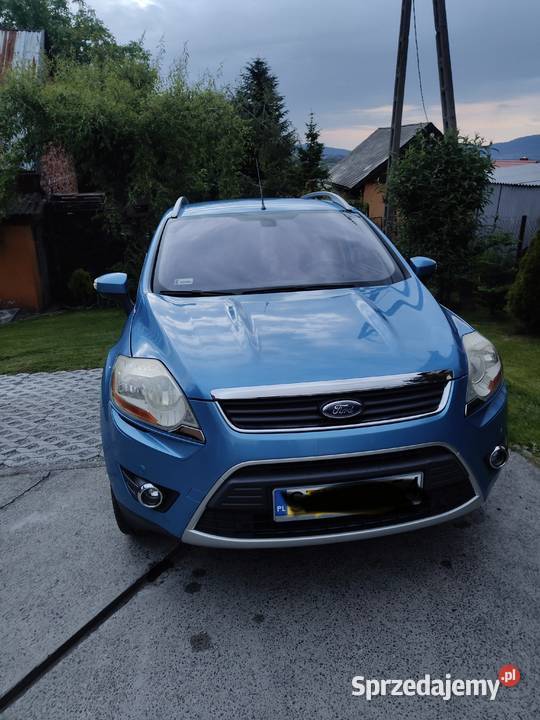 Kuga śląskie Lipowa