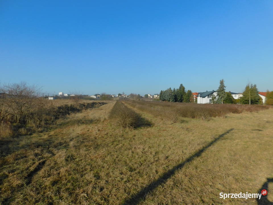 Syndyk sprzeda Mogielnica dz 1272 i 1304
