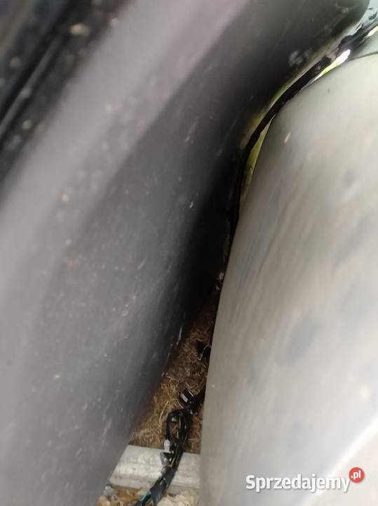 Bagażnik tylni ford focus C lakier f3 wielkopolskie Wyrzysk