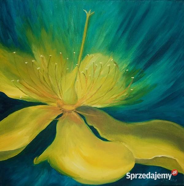 Obraz olejny Żółty kwiat Abstrakcja