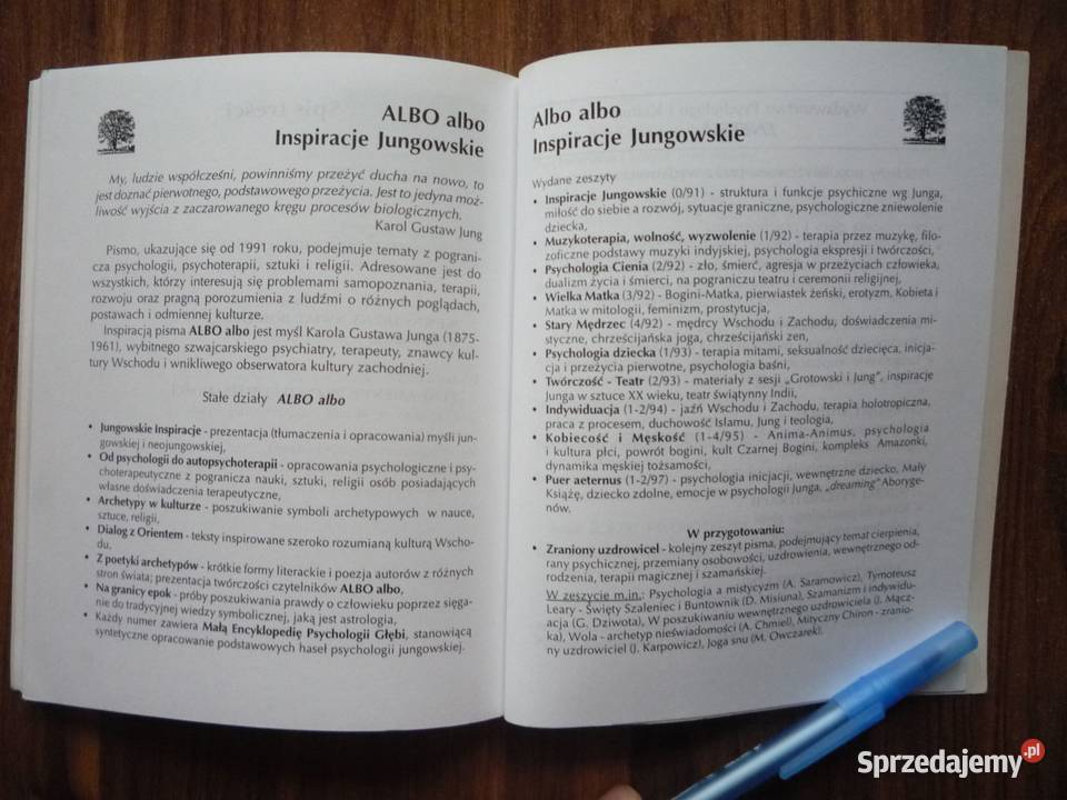 Psychologia dziecka według Junga Zenon Dudek Książki naukowe i popularnonaukowe Szczecin sprzedam