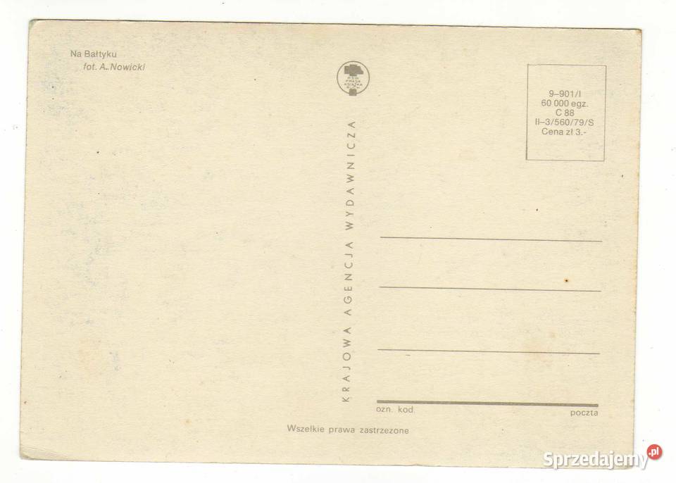 MORZE BAŁTYCKIE NA BAŁTYKU Krynki