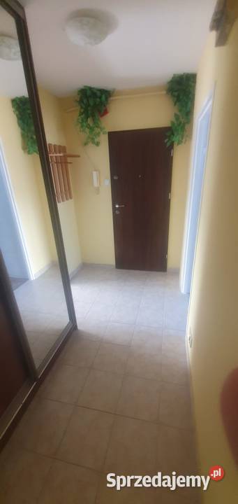 przestronne mieszkanie w spokojnej dzielnicy 62.9m2 Mieszkania Świdnik sprzedam