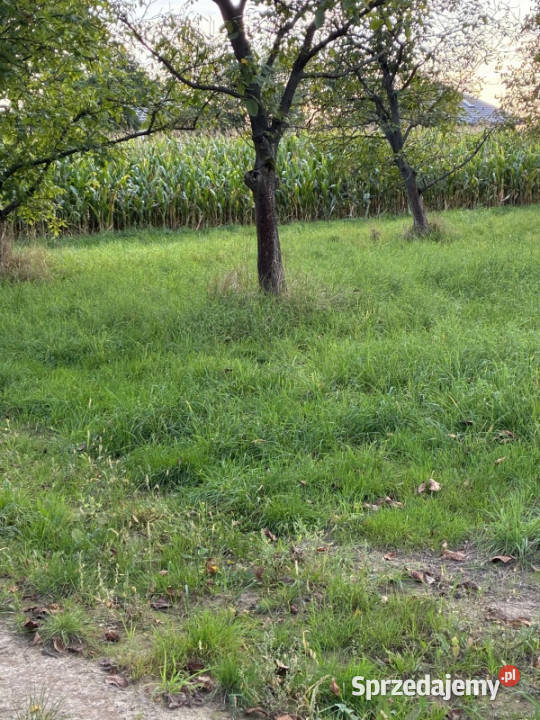Działka Łańcut Grabskie 3951 ara Sprzedaż