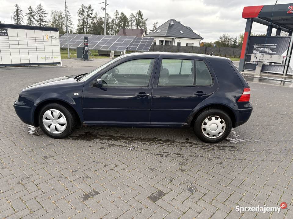 Volkswagen Golf 14 Pacific Rok produkcji 2003 Sochaczew