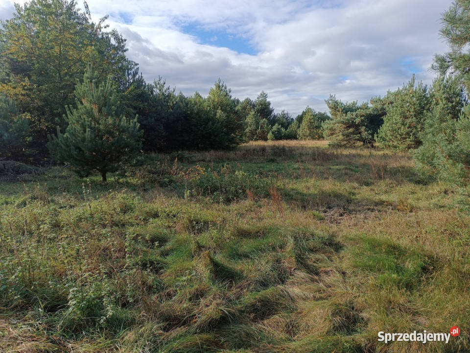 sprzedam działkę Mącice Nieruchomości