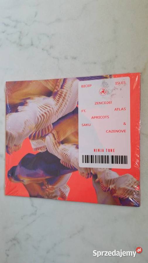 BICEP Isles ZENCD261 Ninja Tune 2021 lubelskie Puławy