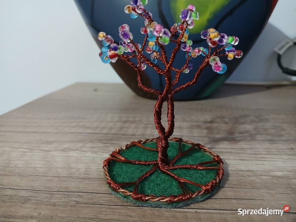 Drzewko szczęścia Olsztyn