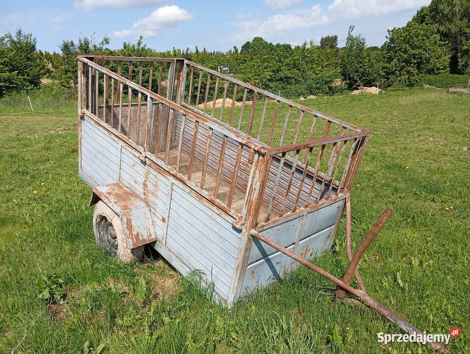 Siewnik do kukurydzy Becker Lipnica Górna