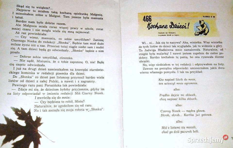 Pamiętnik Czarnego Noska Janina Porazińska Adam Rok wydania 1964 Pozostałe Chełm