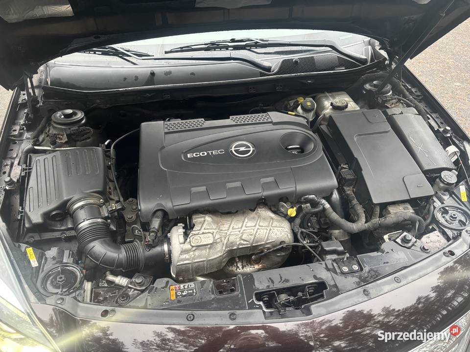 Opel Insignia Kruszyn
