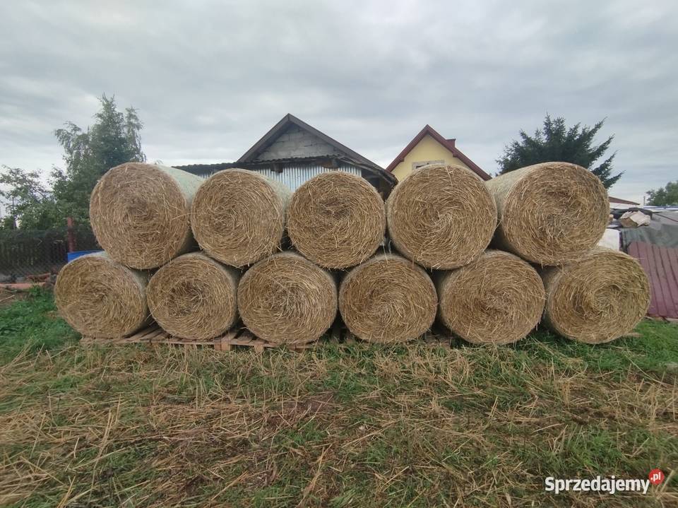 Baloty Słomy świętokrzyskie Śladków Mały sprzedam