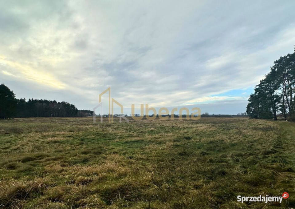 Działka rolna GmGoleniów na sprzedaż Komarowo