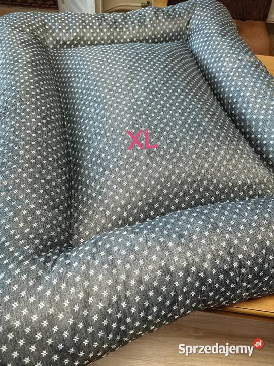 Legowiska psa Katowice