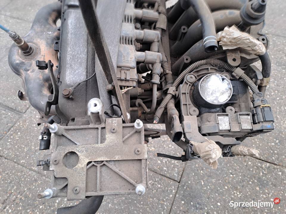 Fiat 500 Ford KA 12 8V silnik kompletny kod Silniki kompletne Jastrzębie-Zdrój