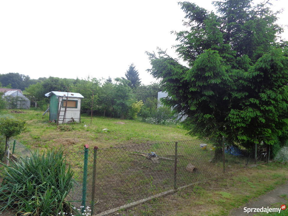 Sprzedam Ogródek Działkowy 400m2 budka studnia z Nysa