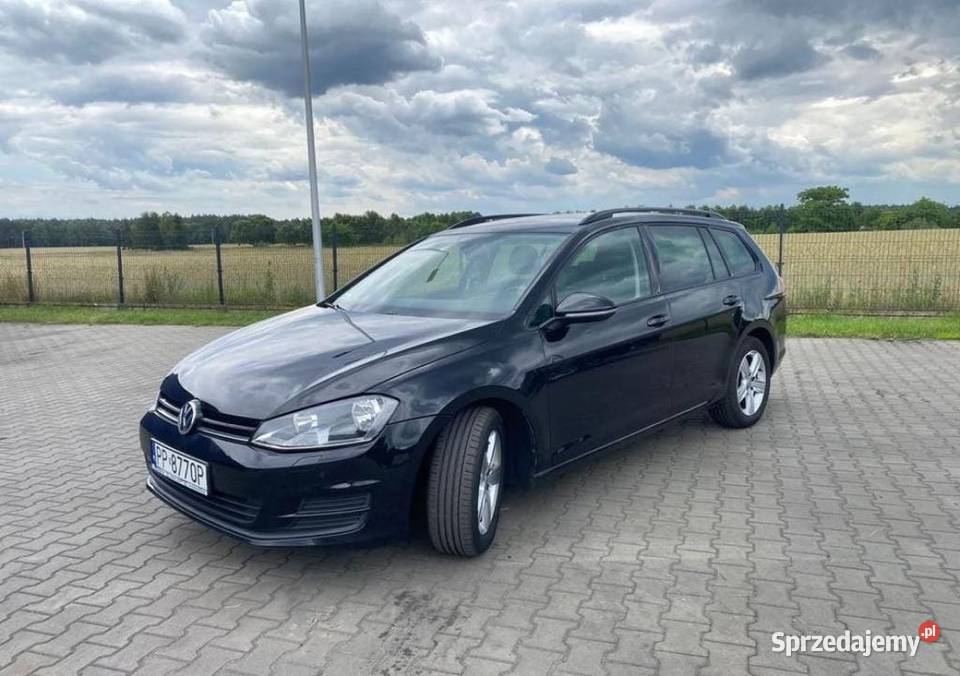 2013 Volkswagen Golf Piła