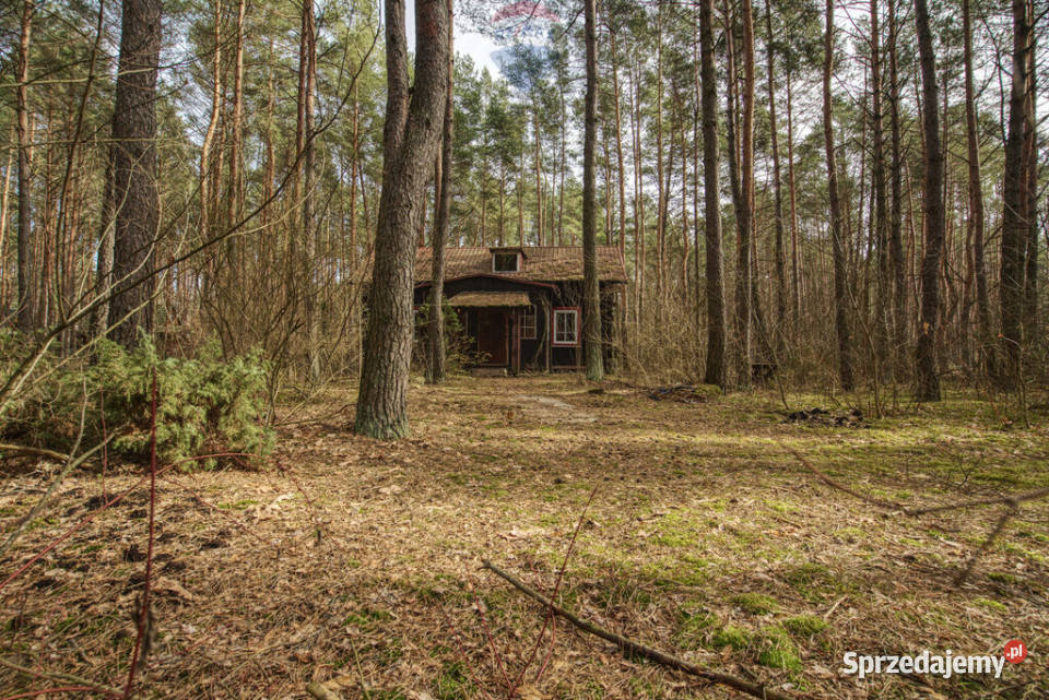 Sprzedażdziałka z MPZP1900 m2Łosie Radzymin 35.5m