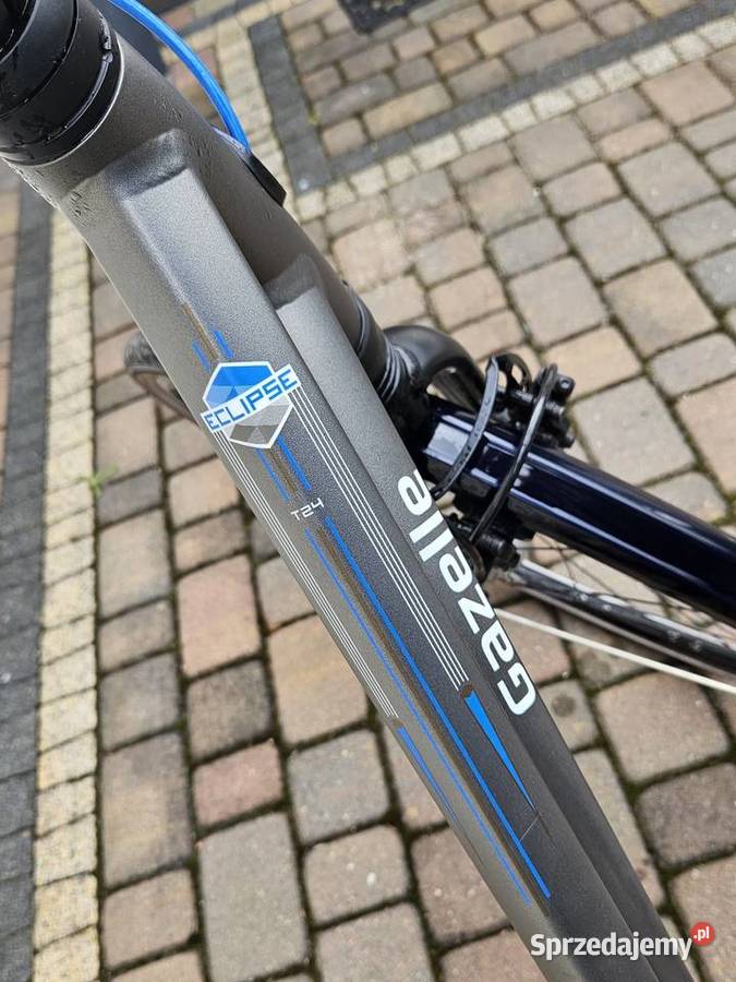 Gazelle eclipse rower damski holenderski Dziembówko