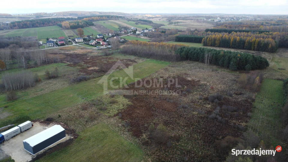 Działka 6500 m2 w Łukowej gm Chęciny sprzedam