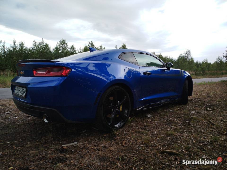 Chevrolet Camaro 20 Turbo 275 2017 PEŁNA NISKI bluetooth Grójec