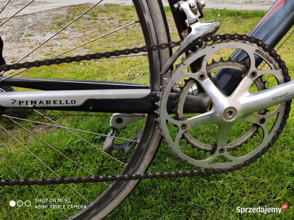 Kolarzówka pinarello campagnolo dolnośląskie Jaźwina