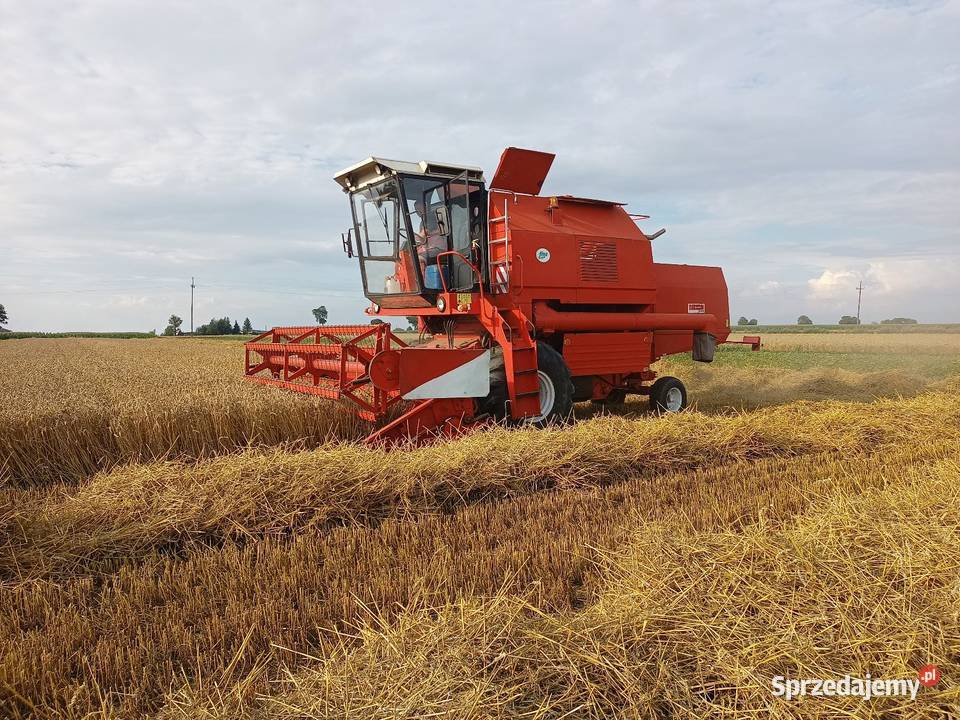 Bizon z058 Rekord Kalisz sprzedam