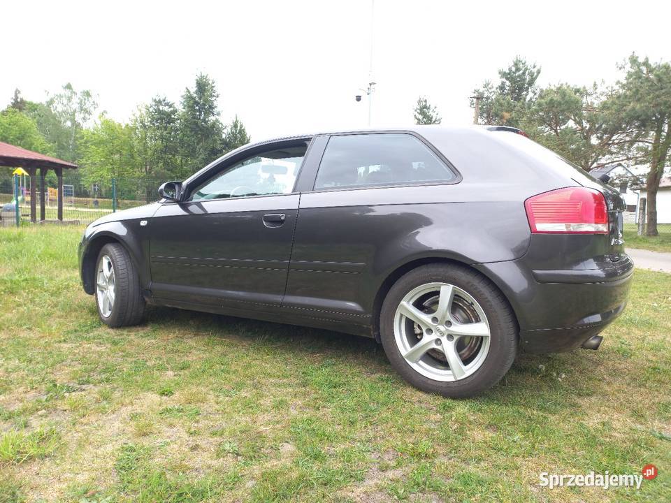 Audi a3 8p 16 mpi Rok produkcji 2004