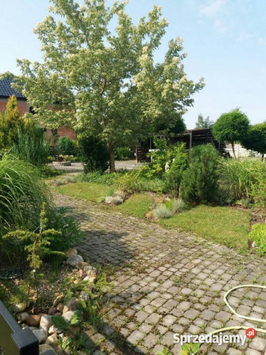 Sprzedam obszerny parterowy dom pod miastem