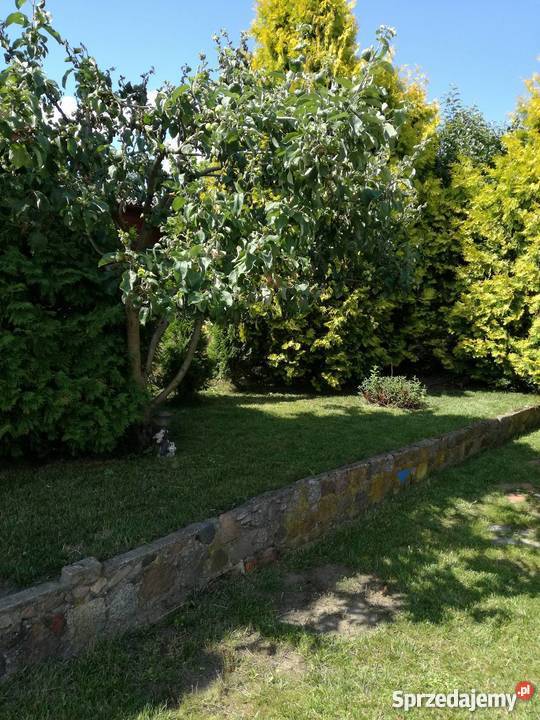 Ogródek działkowy ROD w Wadągu Olsztyn sprzedam