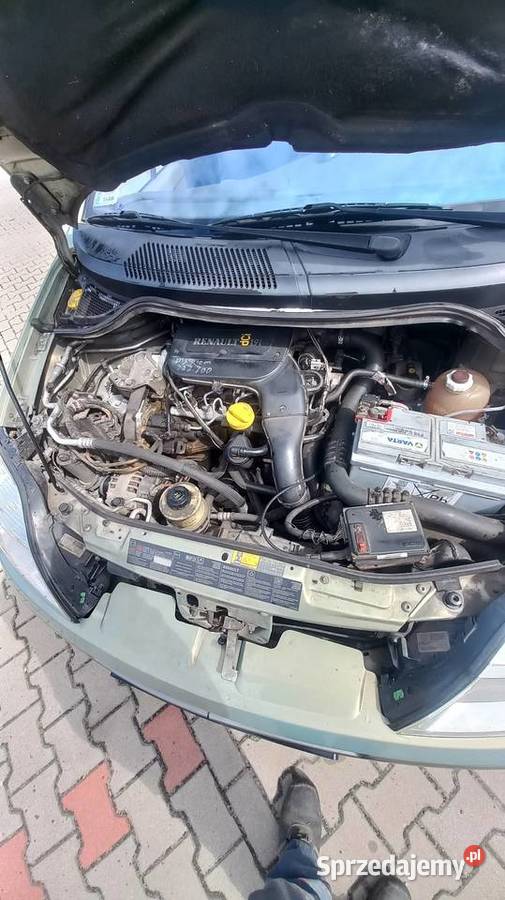 Scenic sprawny na ryby do pracy na grzyby automatyczna Bieliny