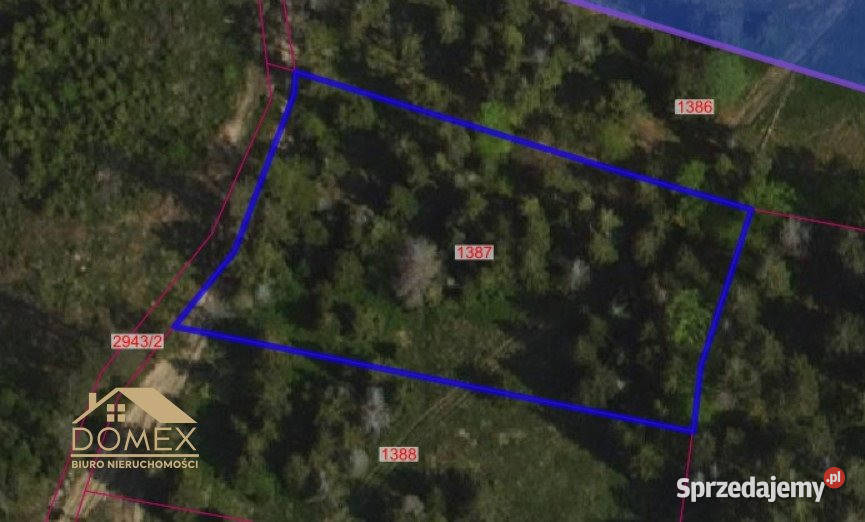 Grunt Soblówka 2915m2 2915m2 śląskie sprzedam