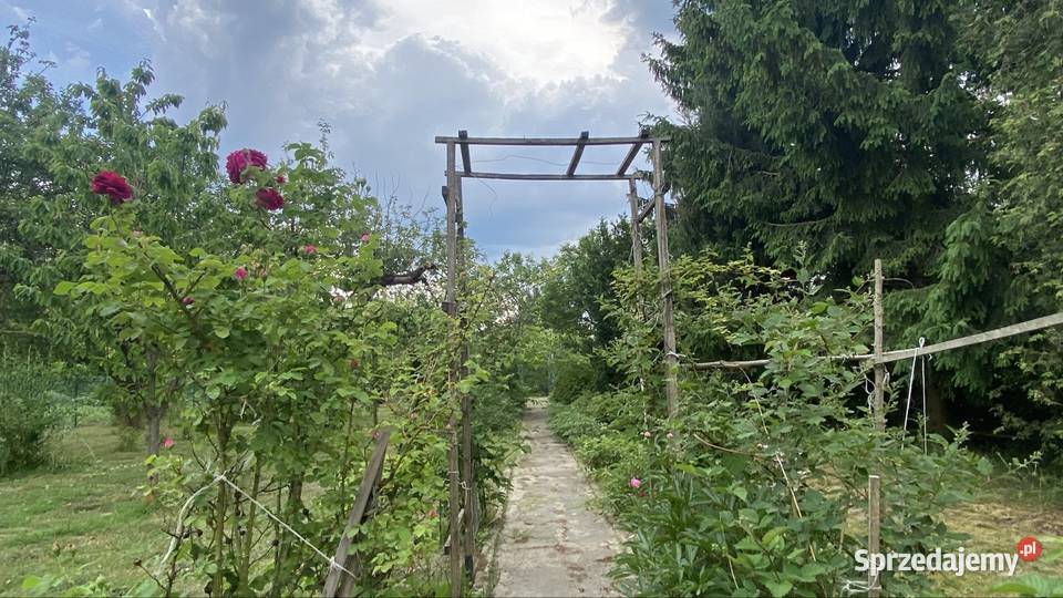 DZIAŁKA REKRECYJNA Sprzedaż Nieruchomości Chełmża
