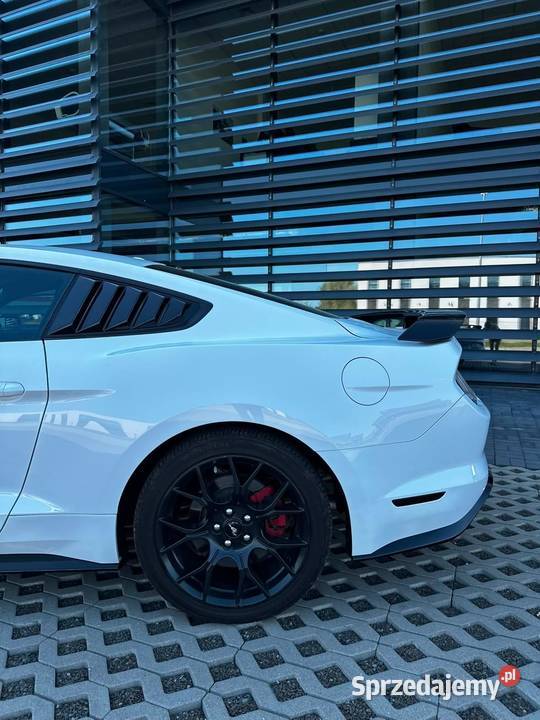 Ford Mustang 23 Performance Package Premium Krosno
