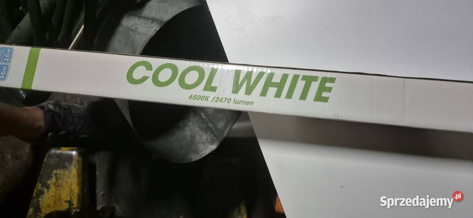Żarówki t5 26w 1200 mm 6500k cool white Żarówki i świetlówki Biała Podlaska