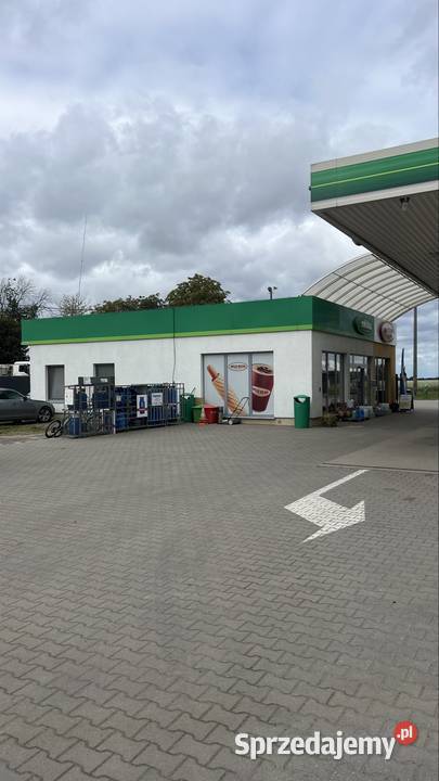 KURS PRAWA JAZDY KATEGORII B ROKIETNICA