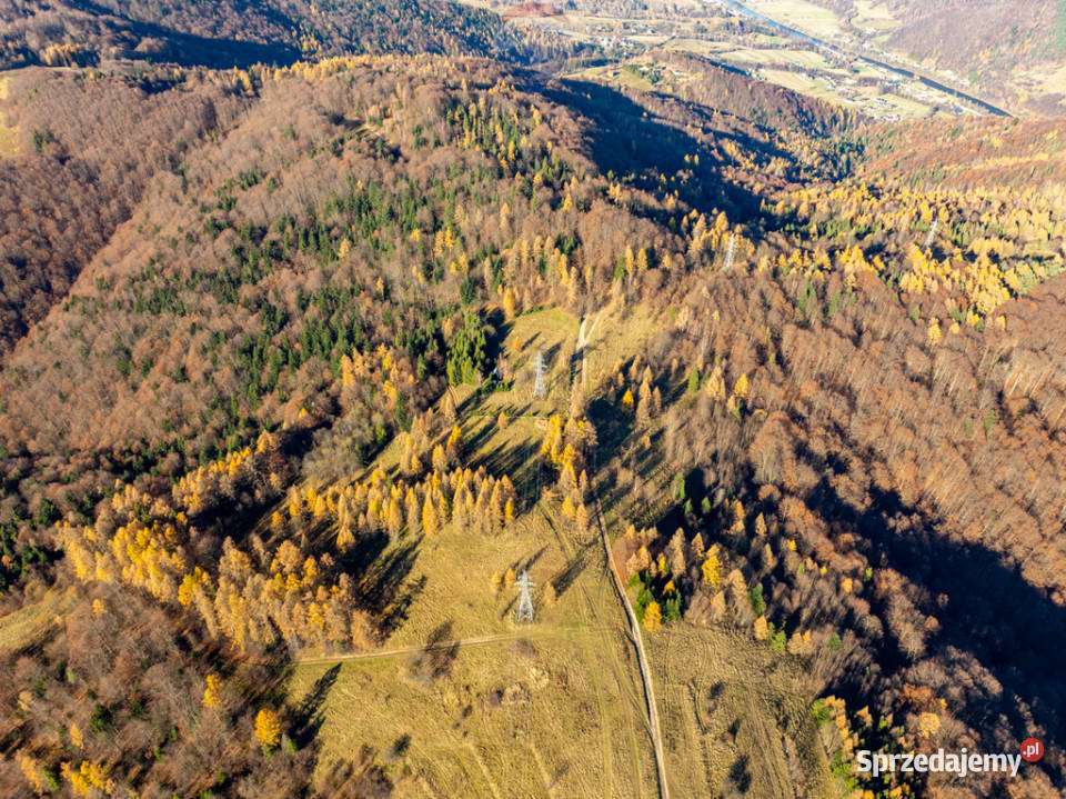 Domek rekreacyjny Krościenko Dunajcem Sprzedaż małopolskie Krościenko nad Dunajcem