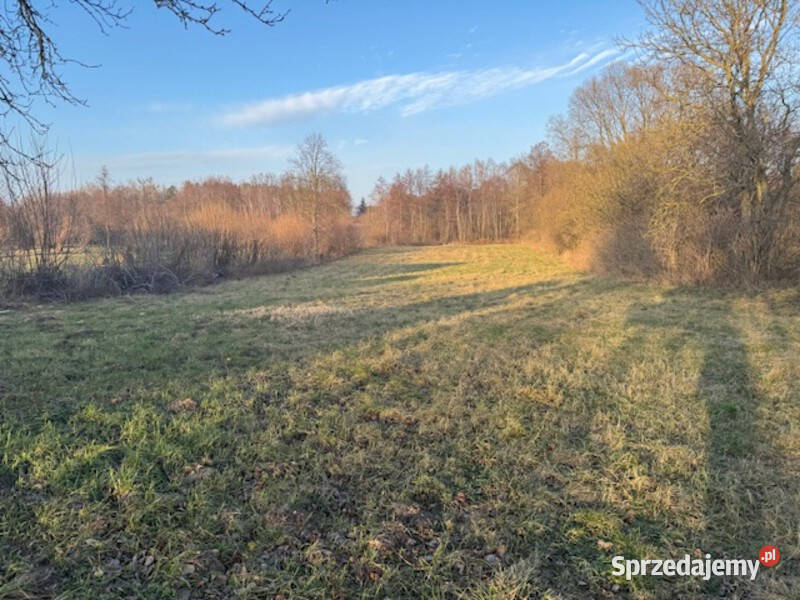 Syndyk sprzeda Nieruchomość w Rydzyniu Rydzyn Włościański sprzedam