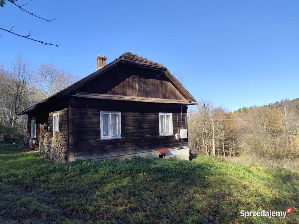 Siedlisko w lesie Sprzedaż Domaradz