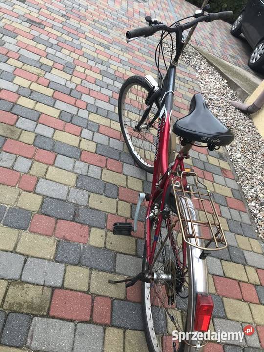 Rower Luna Rayon Wilczyn sprzedam