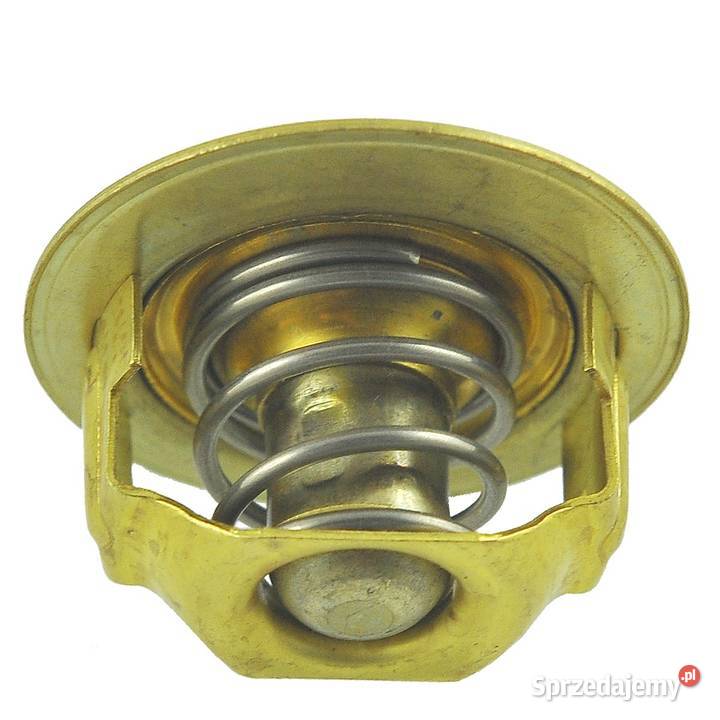 Termostat 54 mm 765C Iseki E3AD1E3AG1E3CDE3112 Tajęcina