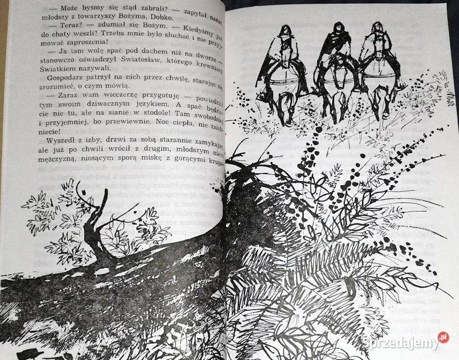 Lubuskie dziewanny Janina Brzostowska Chełm