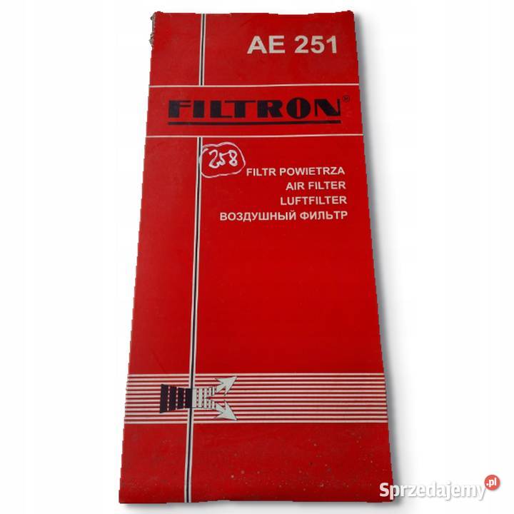 FILTR POWIETRZA Filtron AE 251 AE251 Ford Escort osobowe lubelskie Chełm