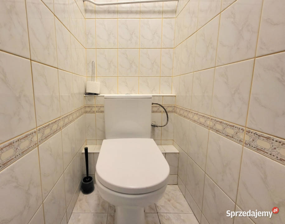 Na wynajem 3 pokoje Uniwersytecie zachodniopomorskie Szczecin