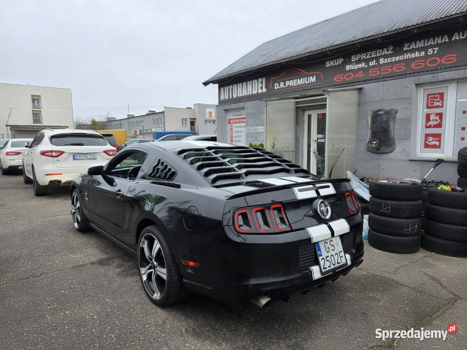 Ford Mustang 37 Benzyna V6 305 Manual Led Xenon Słupsk