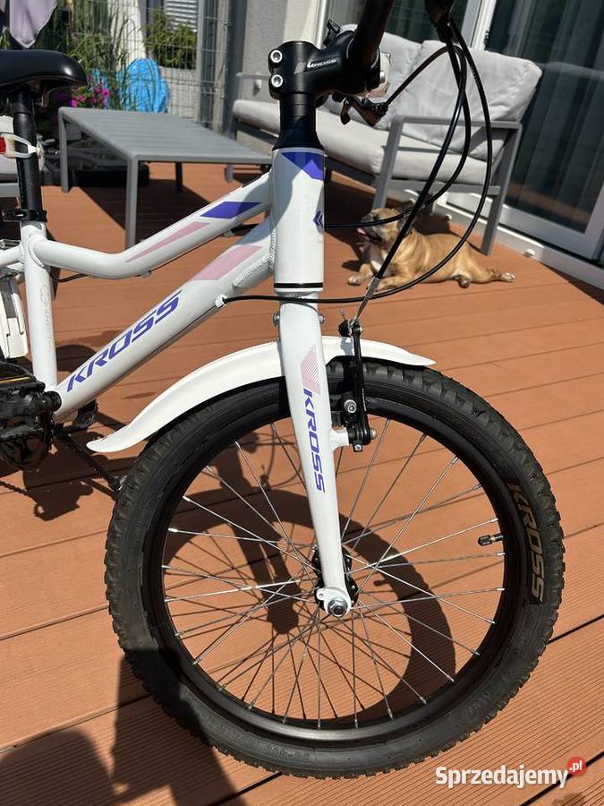 Rower dziecięcy KROSS Lea Mini 31 Light 68 lat Wrocław sprzedam